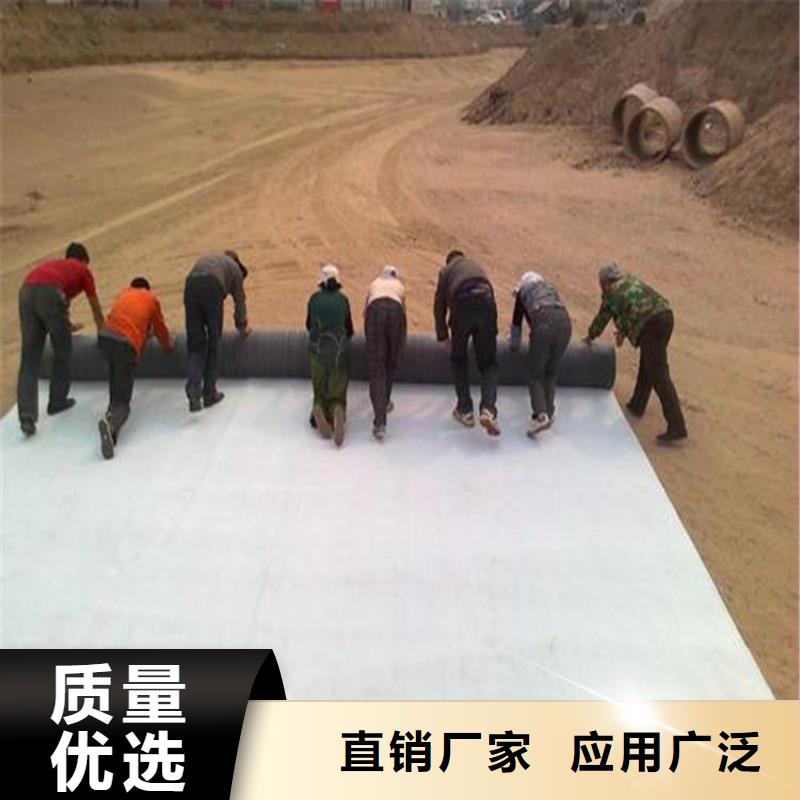 钠基膨润土防水垫