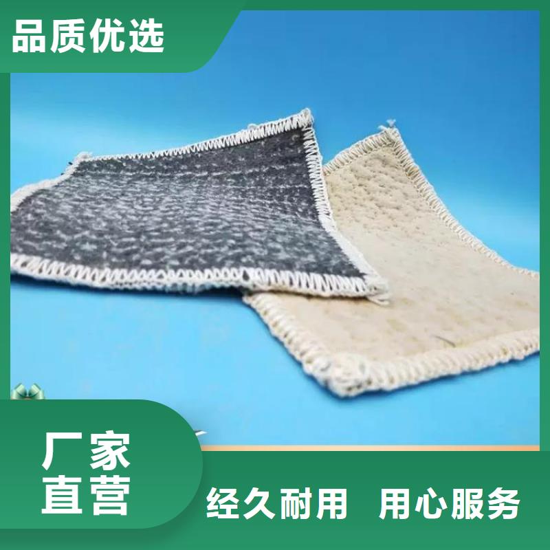 膨润土防水毯,复合土工膜N年专注