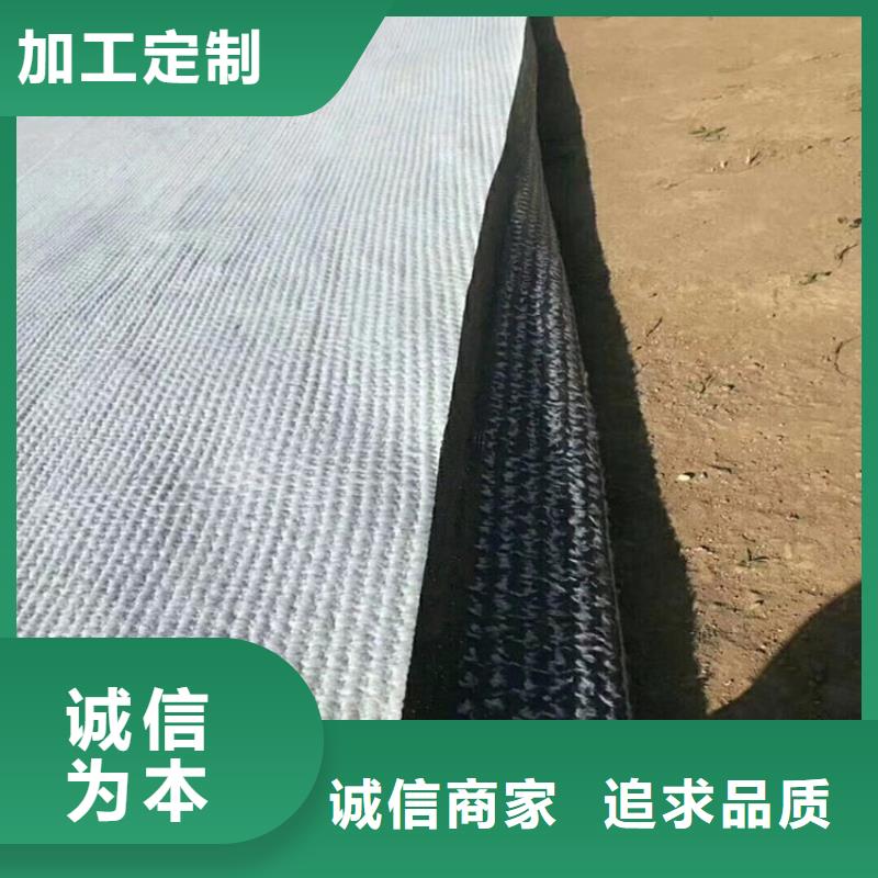 钠基膨润土防水垫