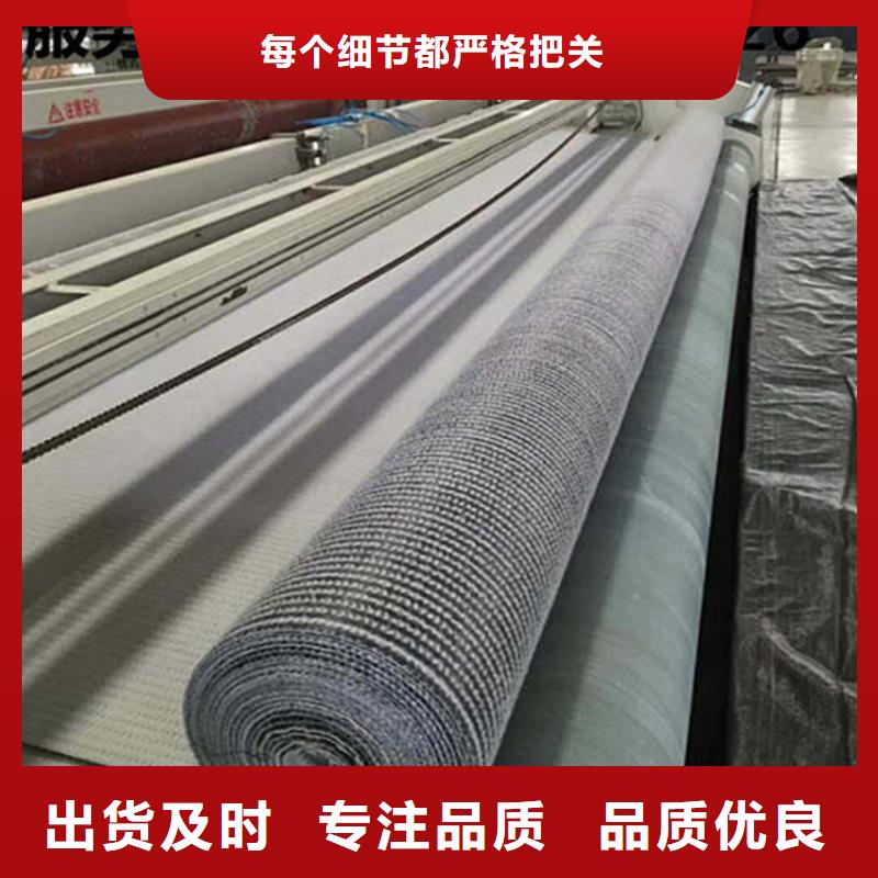 膨润土防水毯-土工膜厂家实力雄厚