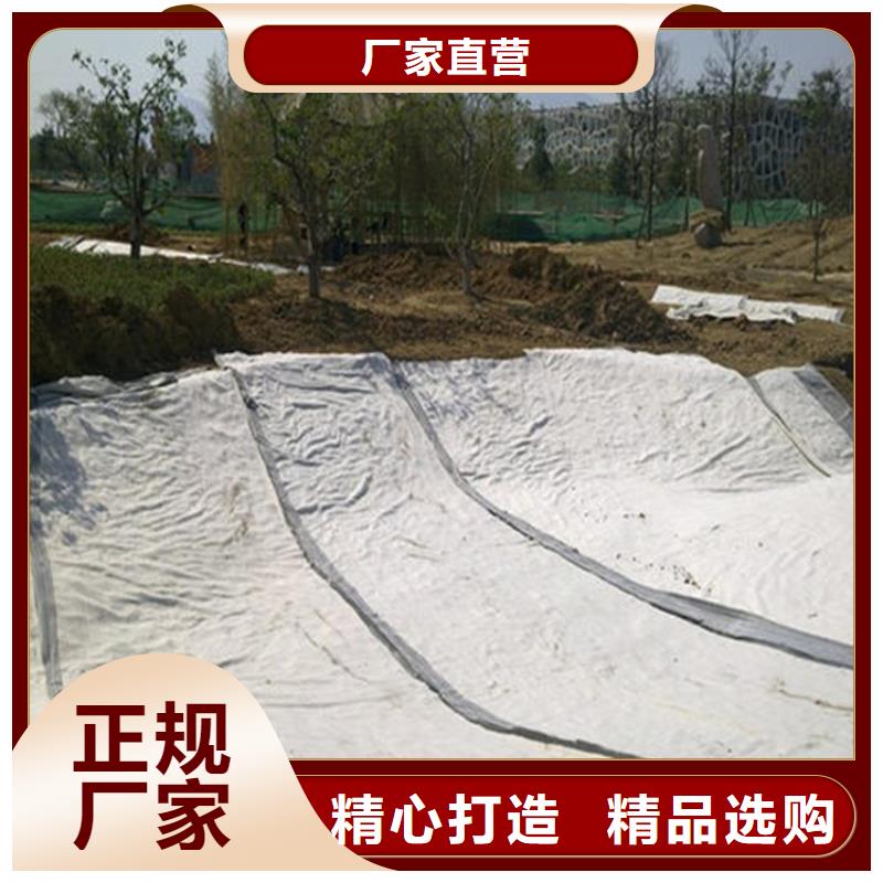 垃圾场膨润土防水毯批发办事处
