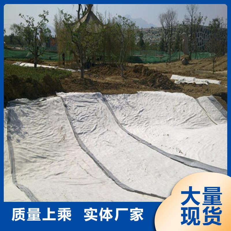 膨润土防水毯,复合土工膜N年专注