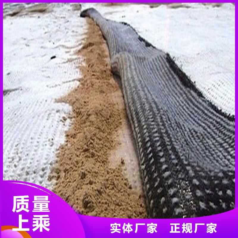 膨润土防水毯,复合土工膜N年专注