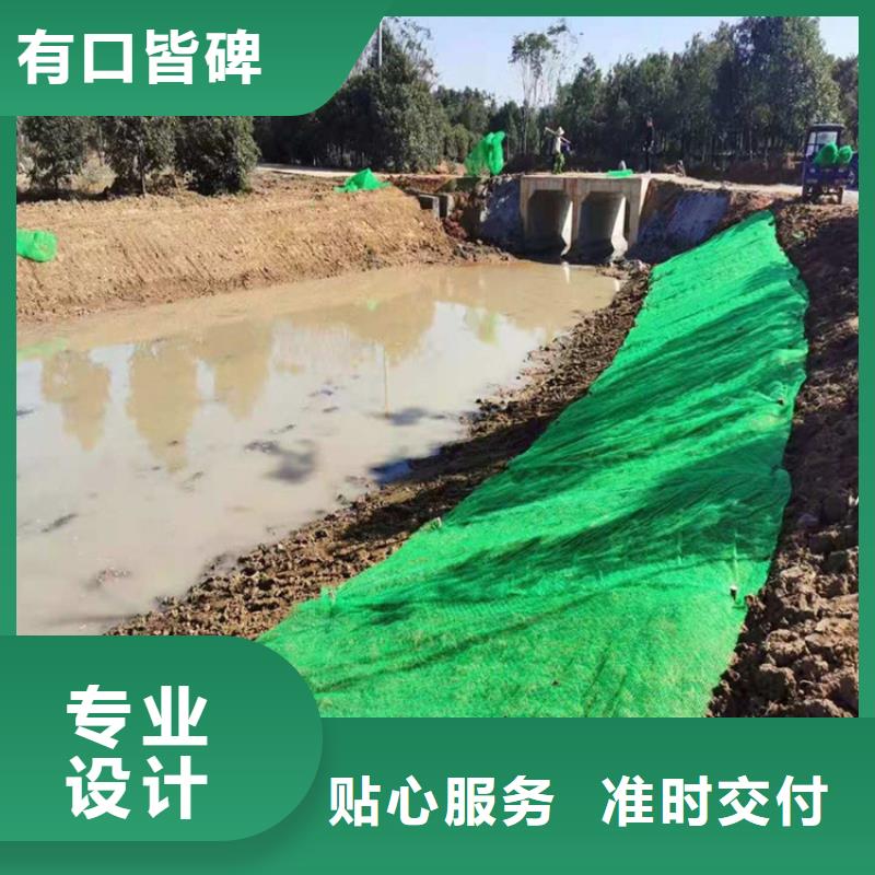 加筋EM3三维固土网垫