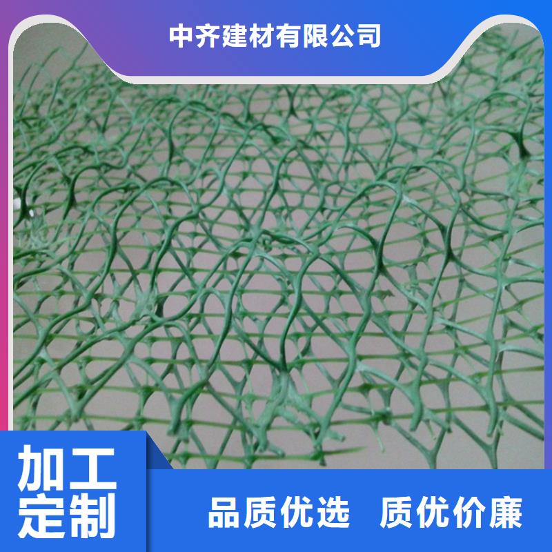 三维护坡植草网垫哪里有卖的