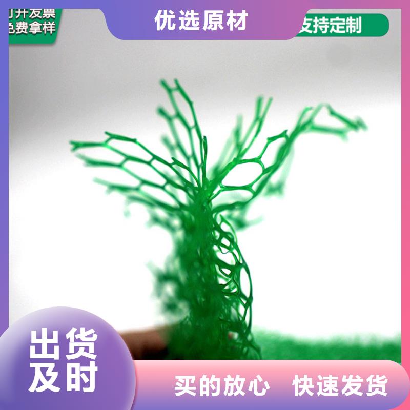 三维植被网双向土工格栅严选好货