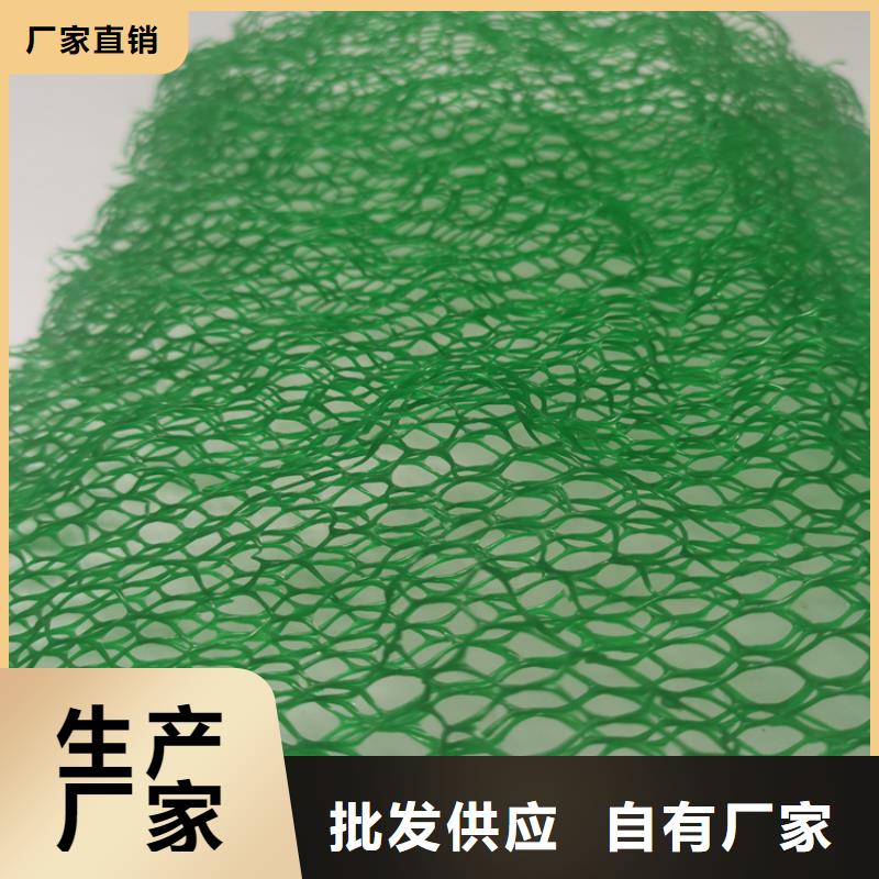 加筋EM3三维固土网垫
