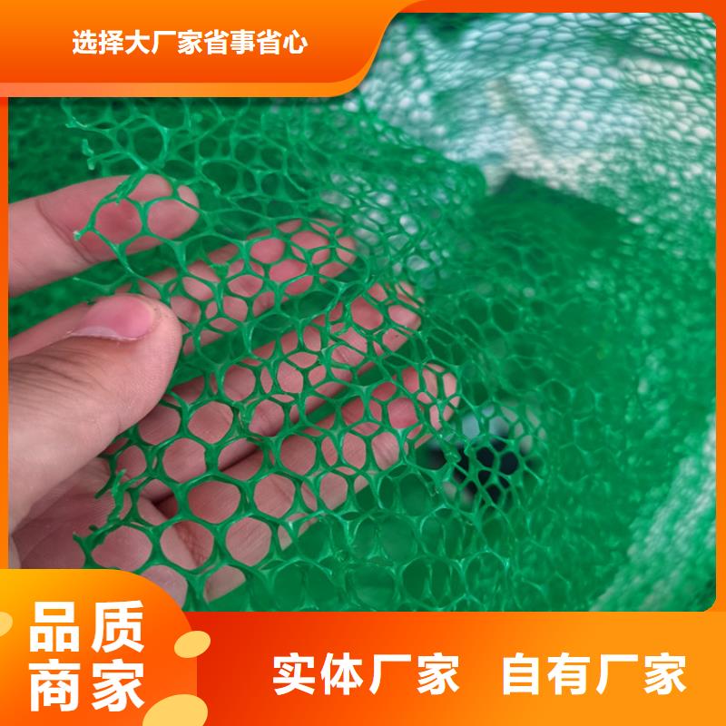 三维护坡植草网垫哪里有卖的