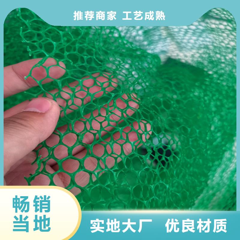 加筋EM3三维固土网垫
