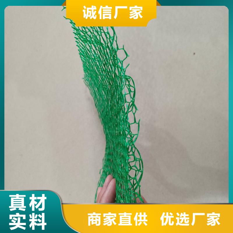 三维植被网-钢塑土工格栅厂家直销
