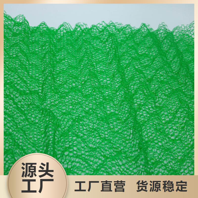 加筋EM3三维固土网垫