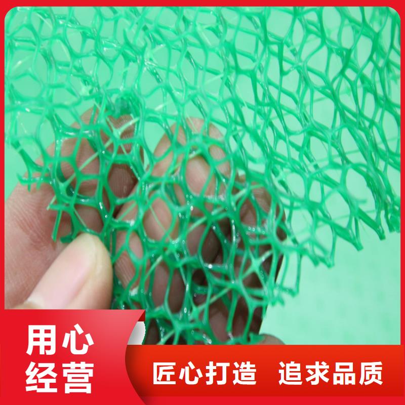 三维植被网-钢塑土工格栅厂家直销