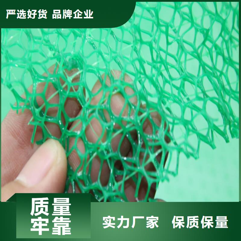 三维护坡植草网垫哪里有卖的