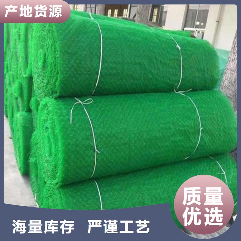 三维植被网-钢塑土工格栅厂家直销