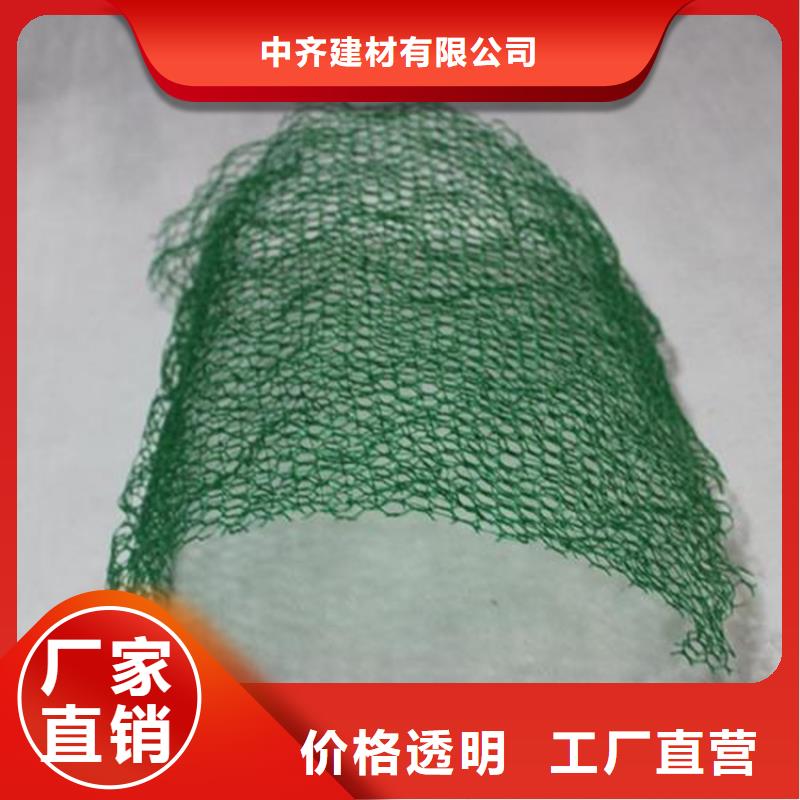 三维护坡植草网垫哪里有卖的