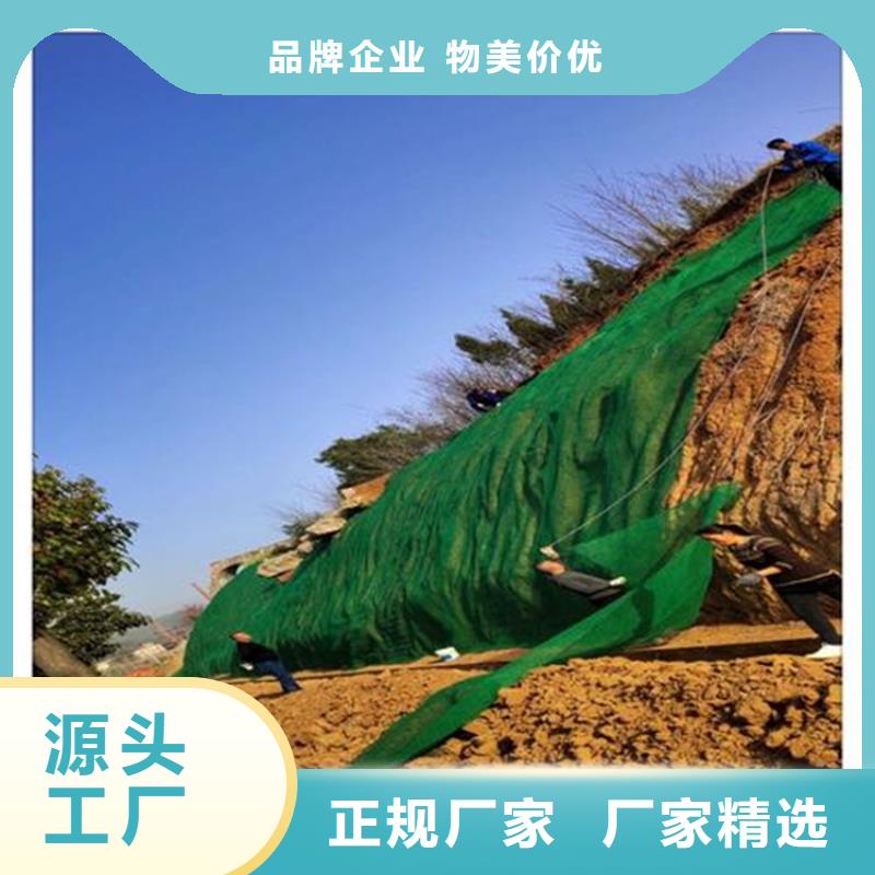 三维植被网-钢塑土工格栅厂家直销