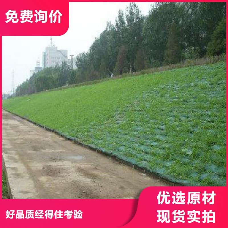 三维植被网-钢塑土工格栅厂家直销