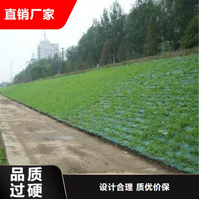 三维护坡植草网垫哪里有卖的