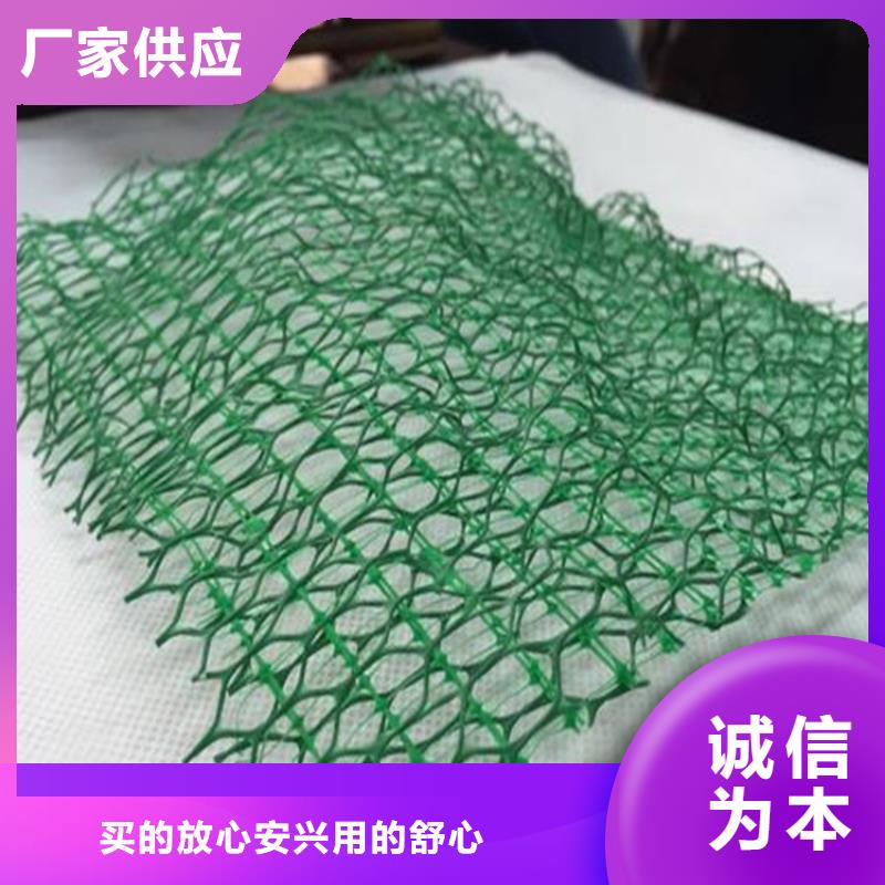 三维植被网-钢塑土工格栅厂家直销