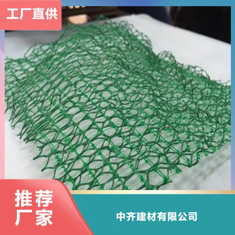 三维植被网-钢塑土工格栅厂家直销