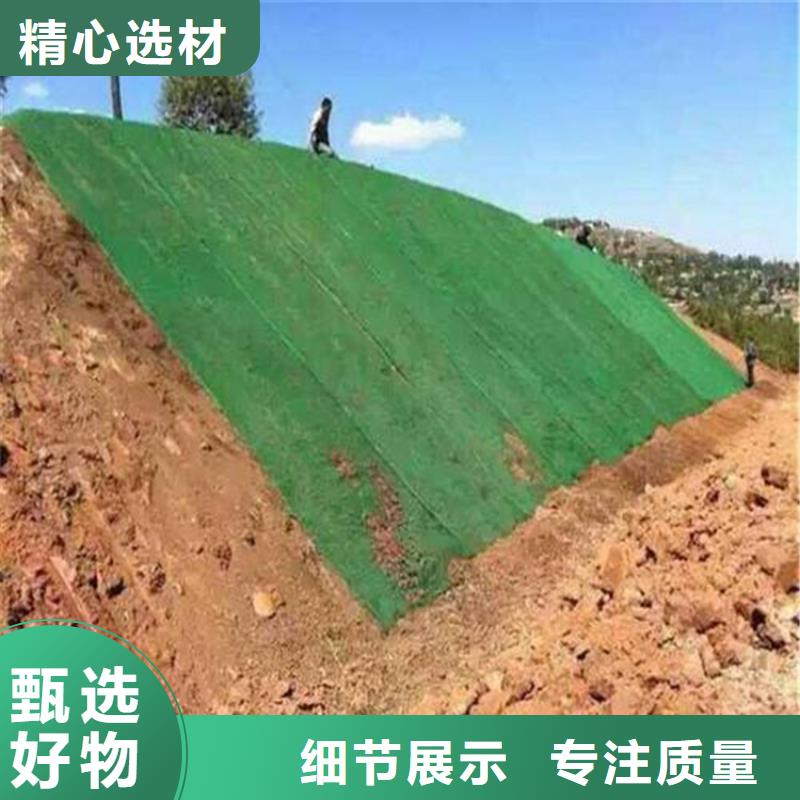 三维植被网-钢塑土工格栅厂家直销