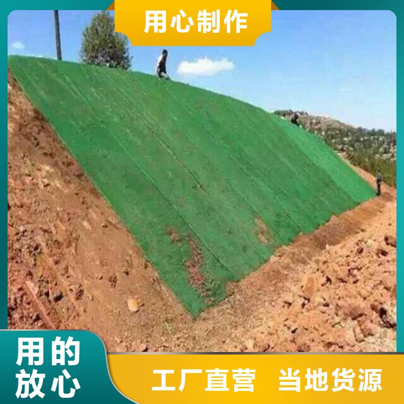 三维护坡植草网垫哪里有卖的