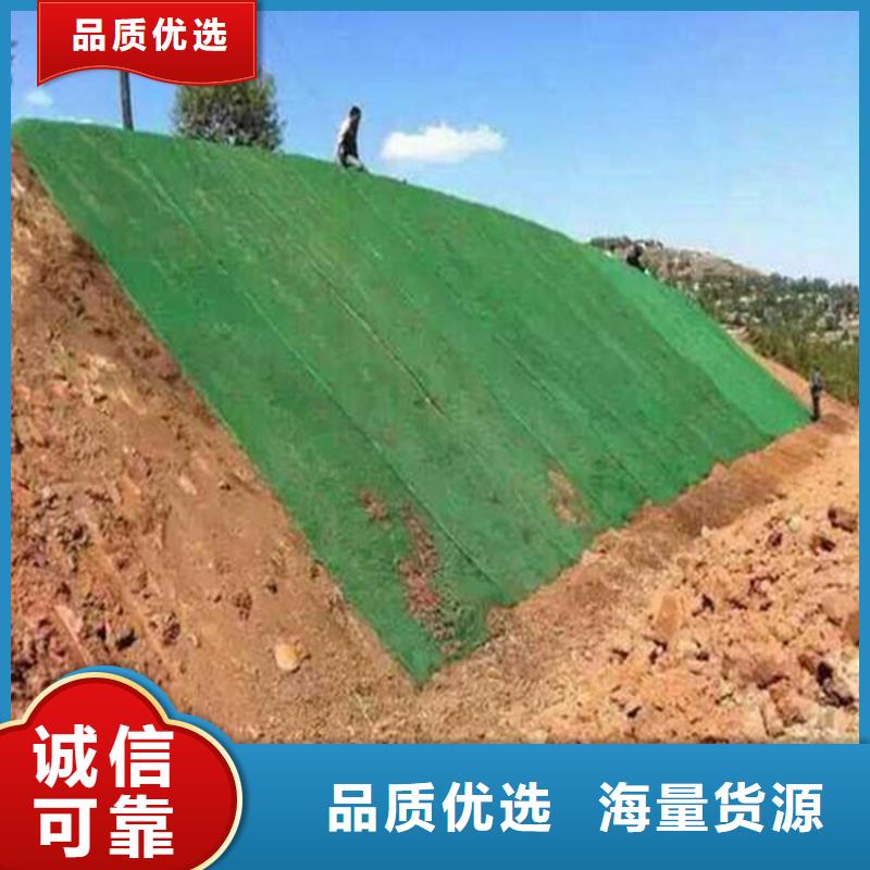三维护坡植草网垫哪里有卖的