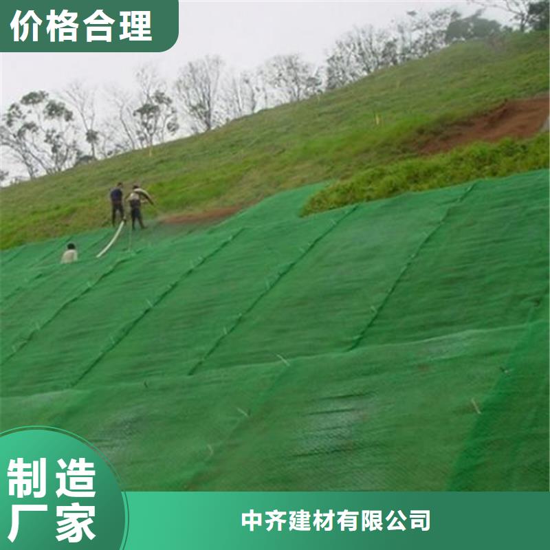 三维植被网-钢塑土工格栅厂家直销