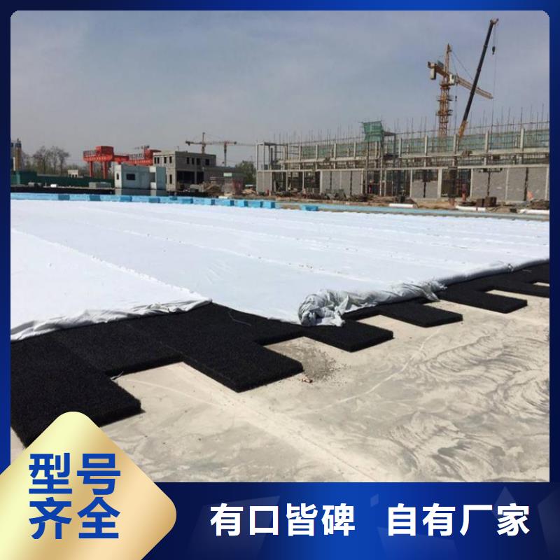 4050高渗排水网垫厂家