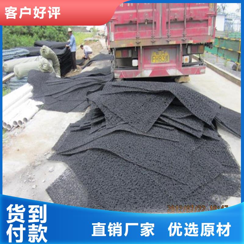 4050高渗排水网垫厂家