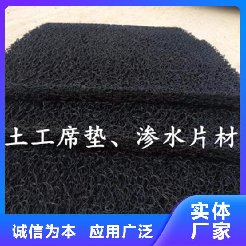 昌江县3040高渗排水网垫检测报告