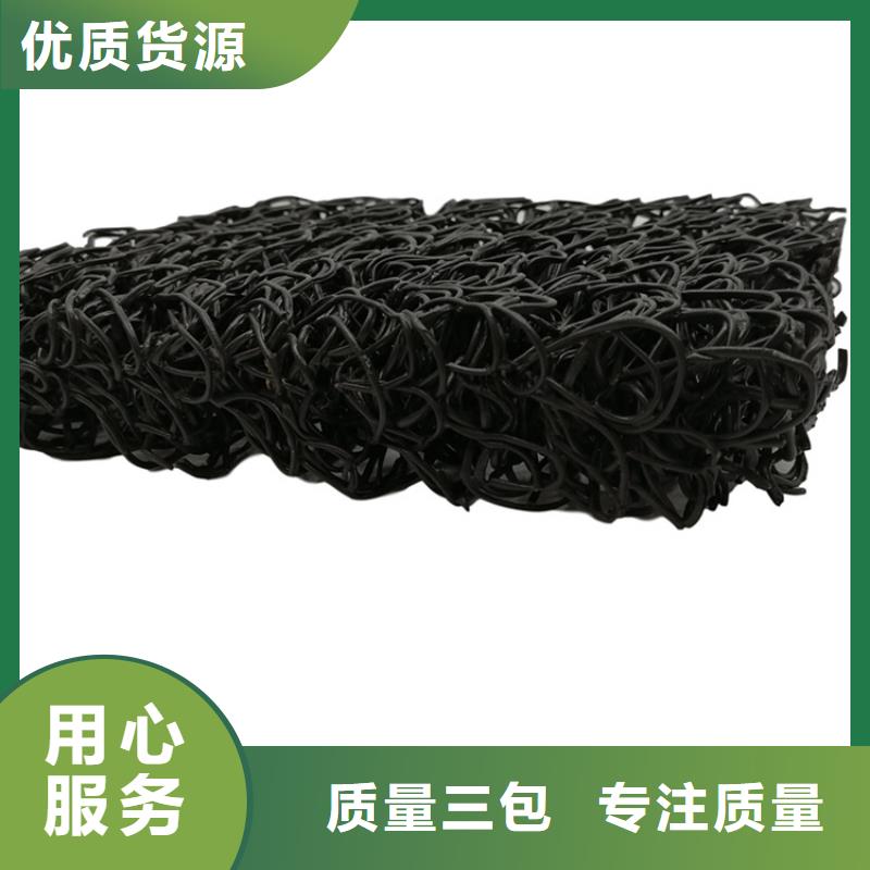 昌江县3040高渗排水网垫检测报告