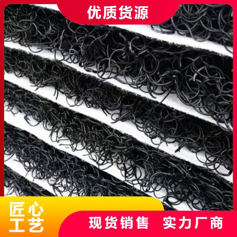 4050高渗排水网垫厂家