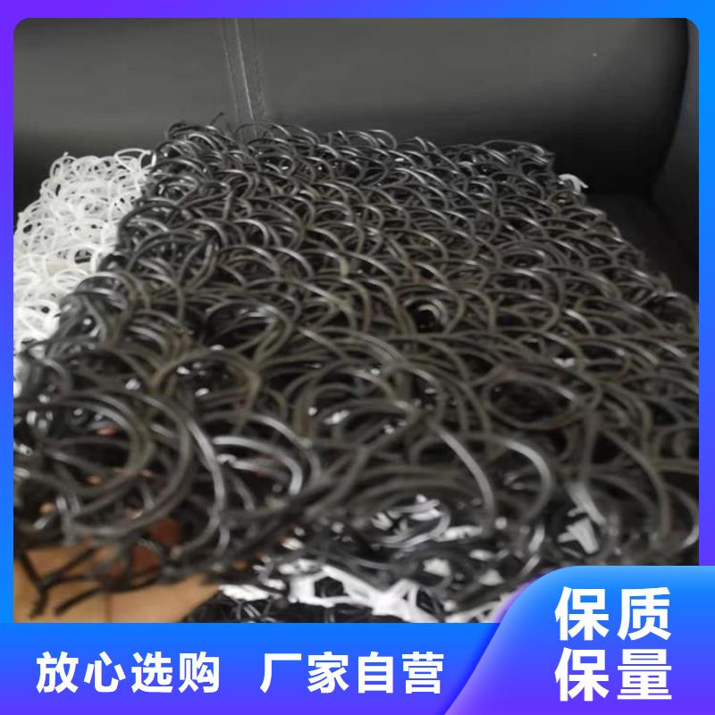 RCP渗排水网垫