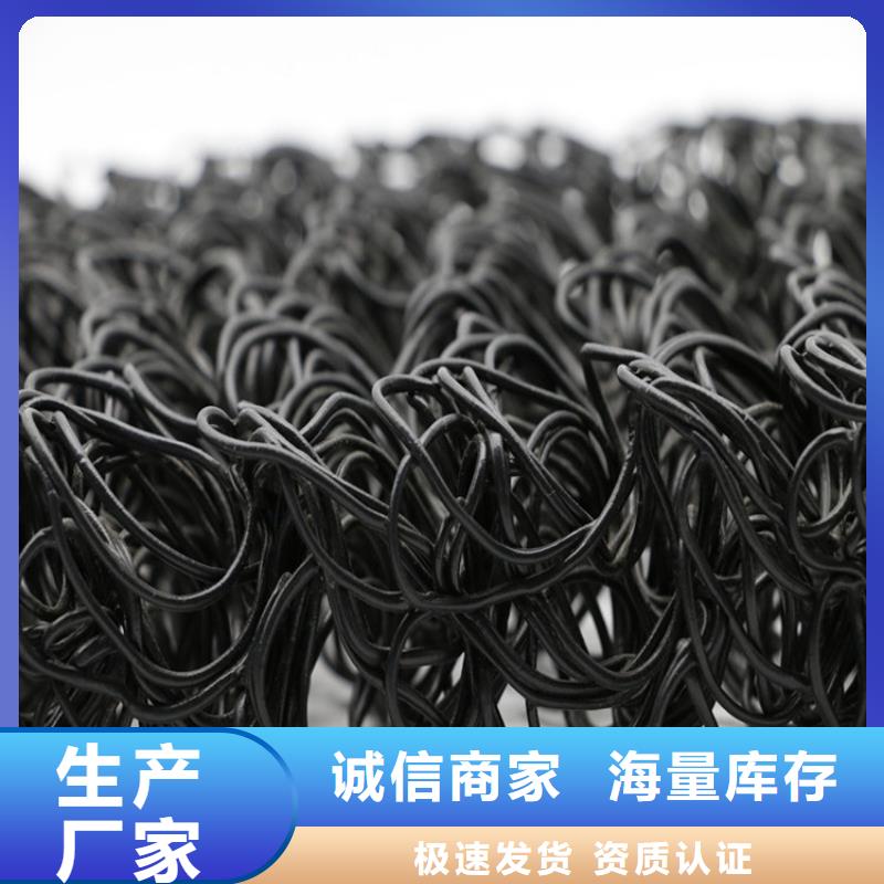 4050高渗排水网垫厂家