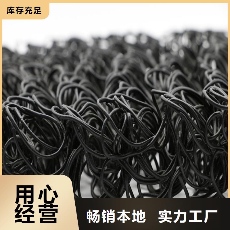 4050高渗排水网垫厂家