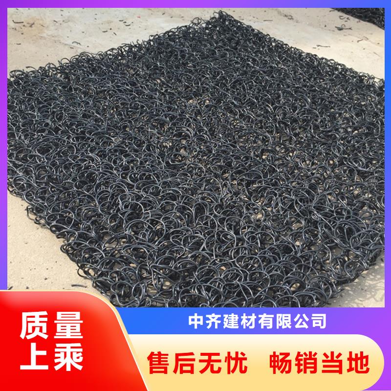 4050高渗排水网垫厂家
