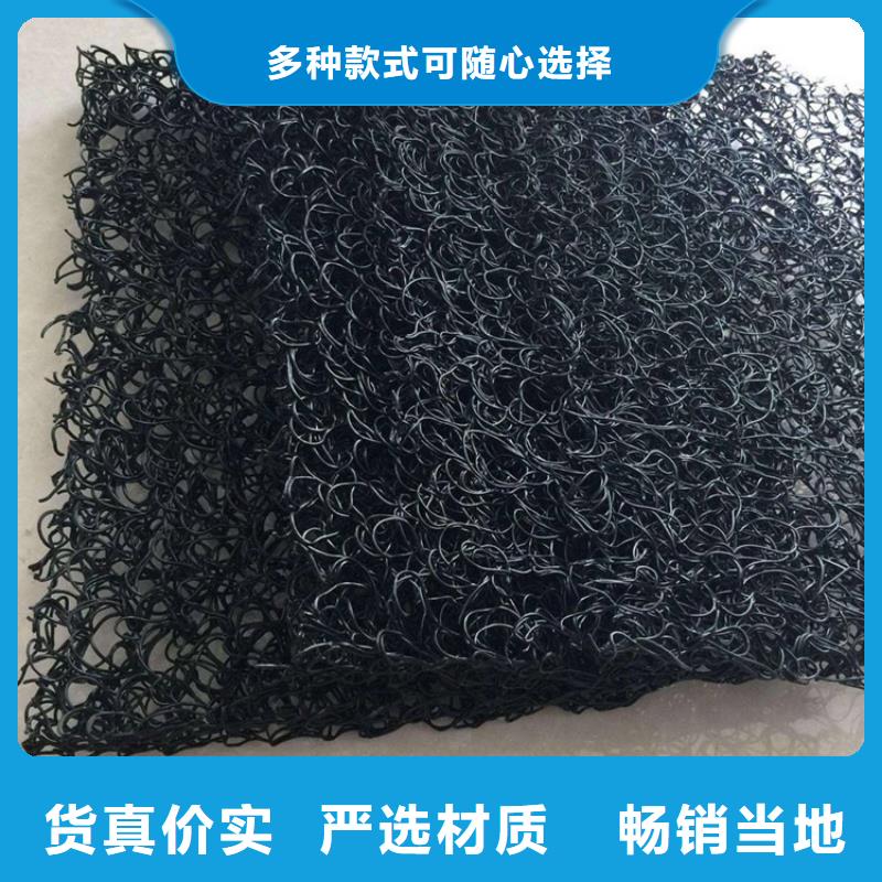 4050高渗排水网垫厂家
