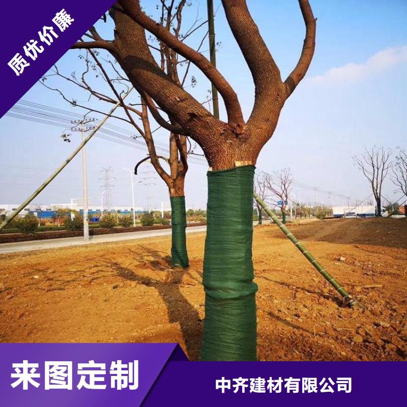 裹树布大树包树布