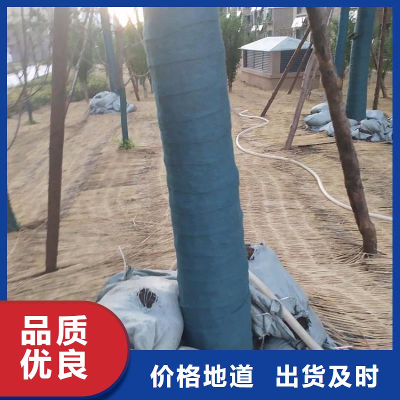 大树包树布绿色裹树布