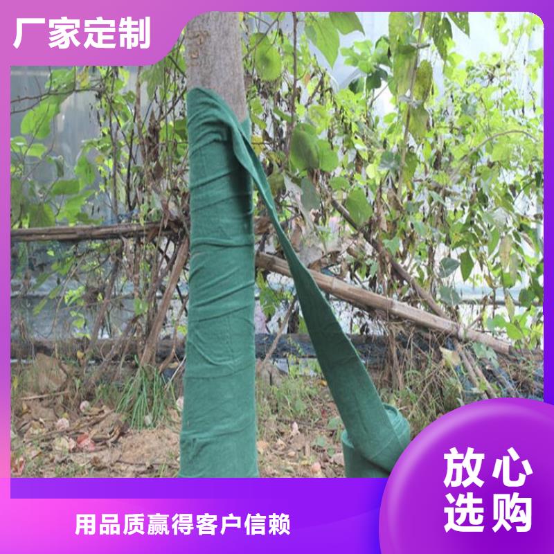 琼海市包树布树木防冻防晒布