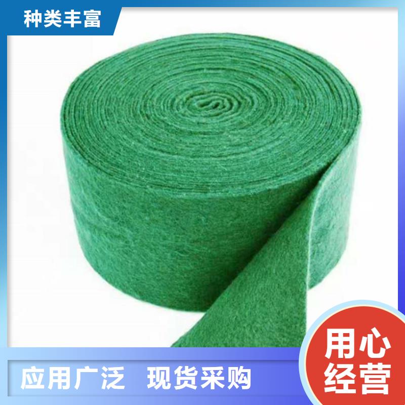 大树包树布绿色裹树布