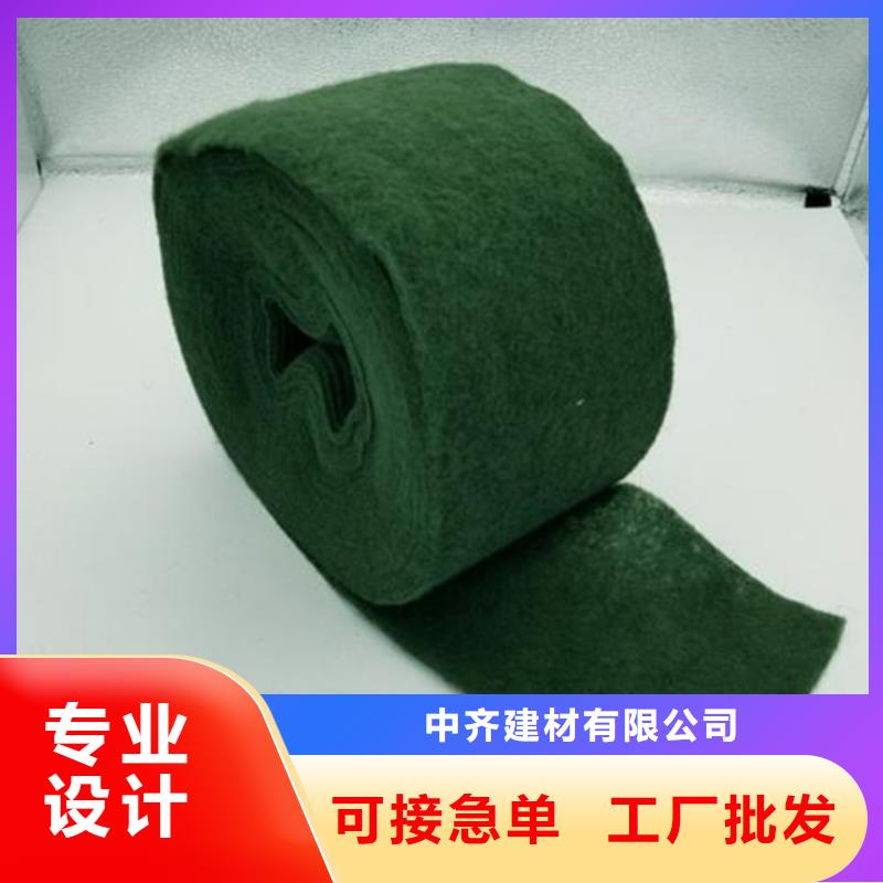 裹树布大树包树布