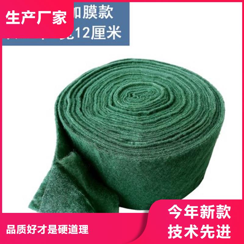 裹树布大树包树布
