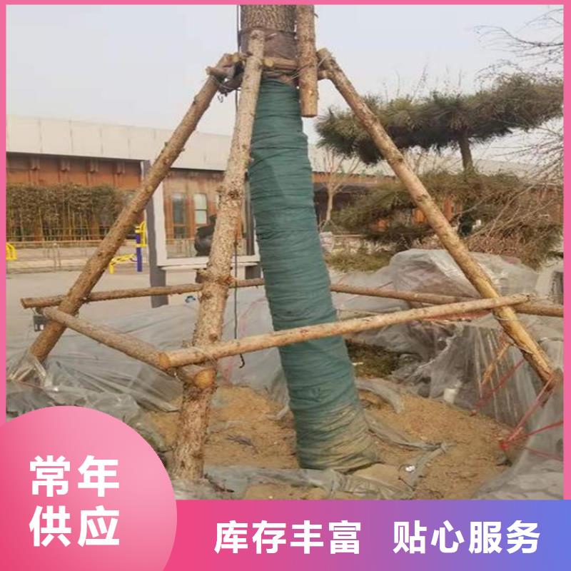 保温保湿棉绿色包树布