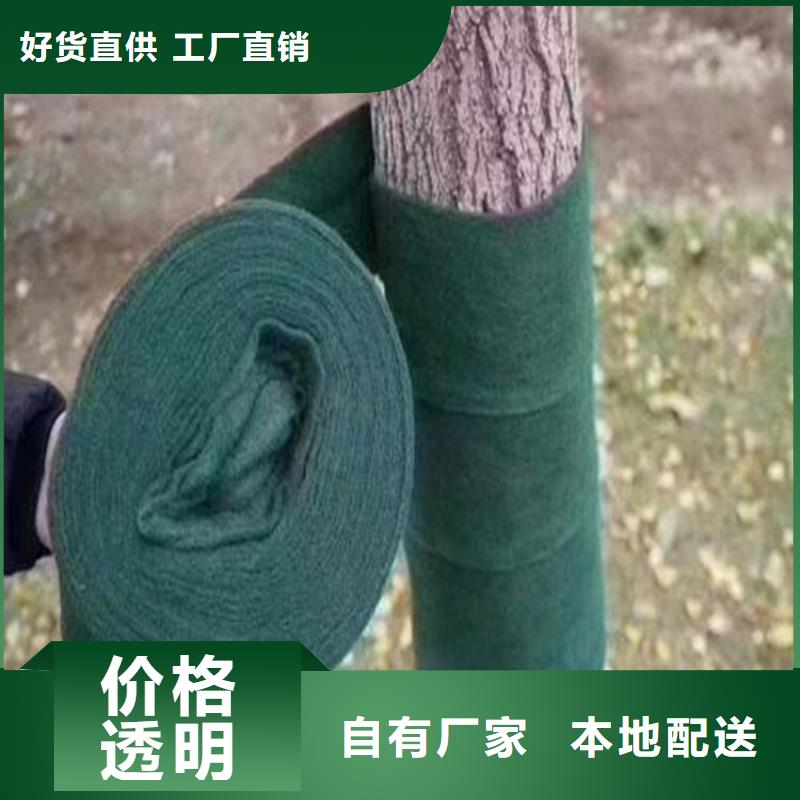 裹树布大树包树布