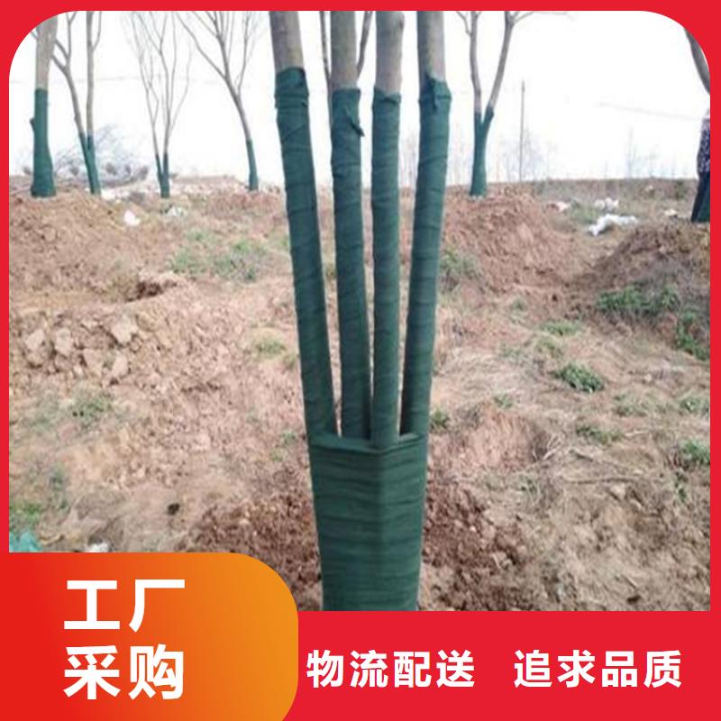琼海市包树布树木防冻防晒布