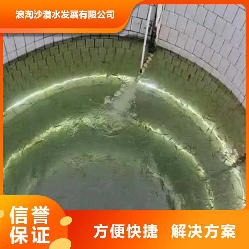 经验丰富的水下服务、批发商