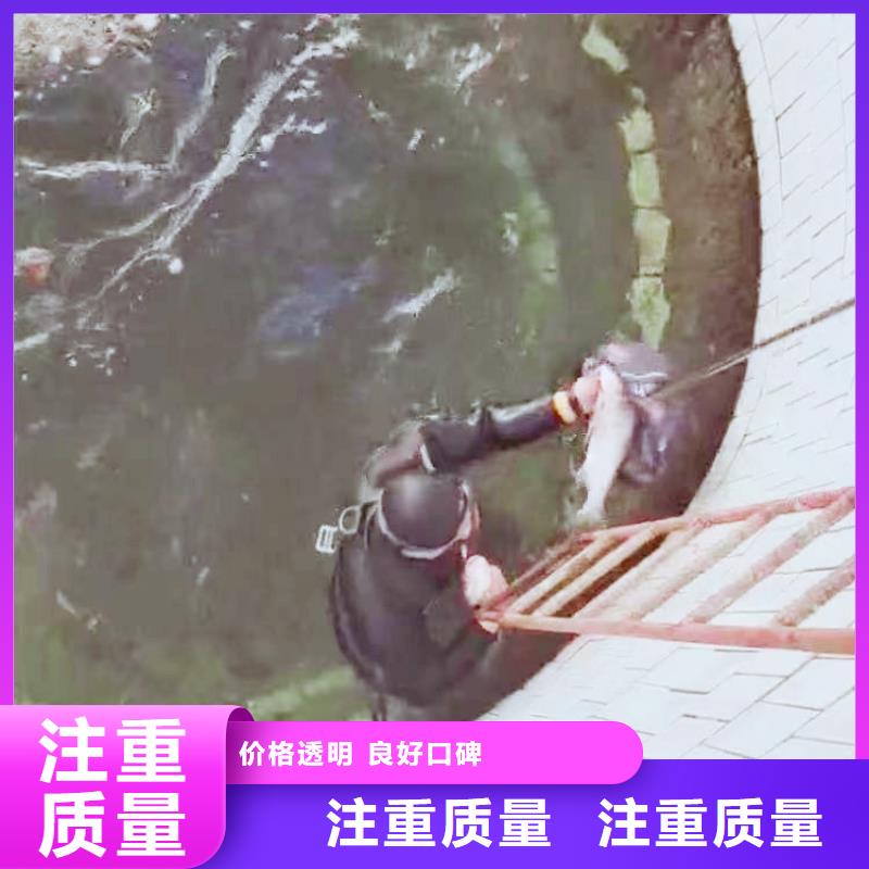 价格合理的水下摄影、公司