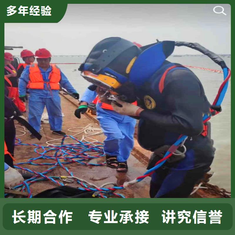 价格合理的水下摄影、公司